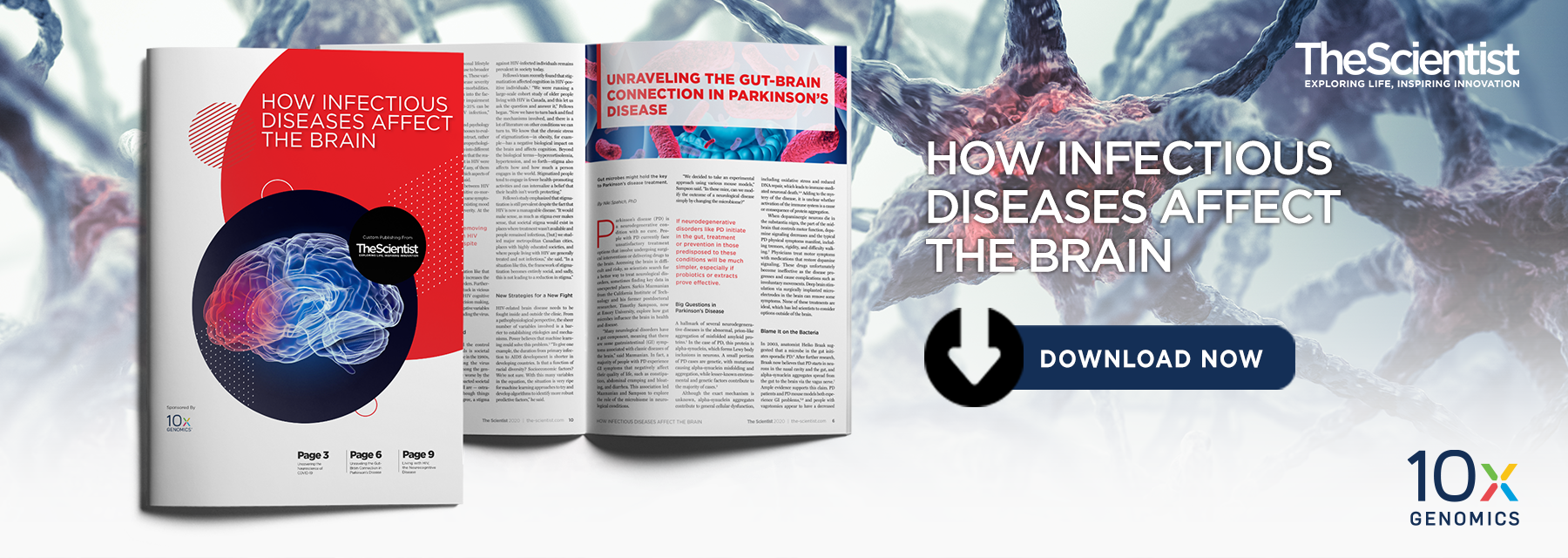 How Infectious Diseases Affect The Brain